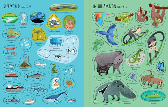 Planet Earth: First Sticker Book