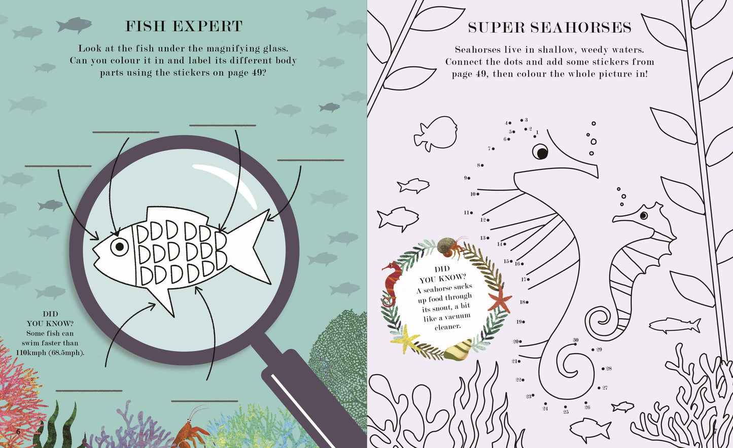 Sea: A World Beneath The Waves Activity Book