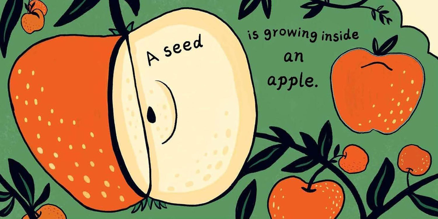 Seed In The Universe