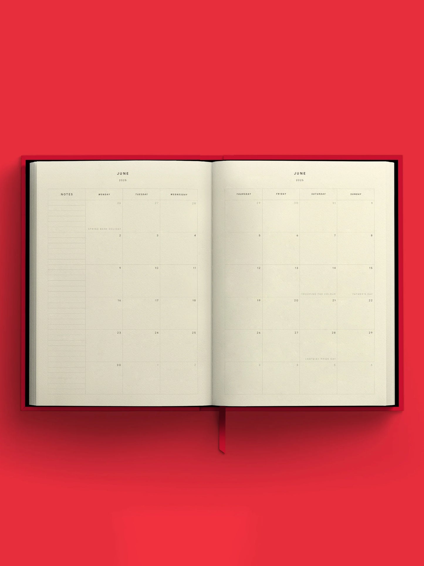 Blank Canvas Red 2025 Diary