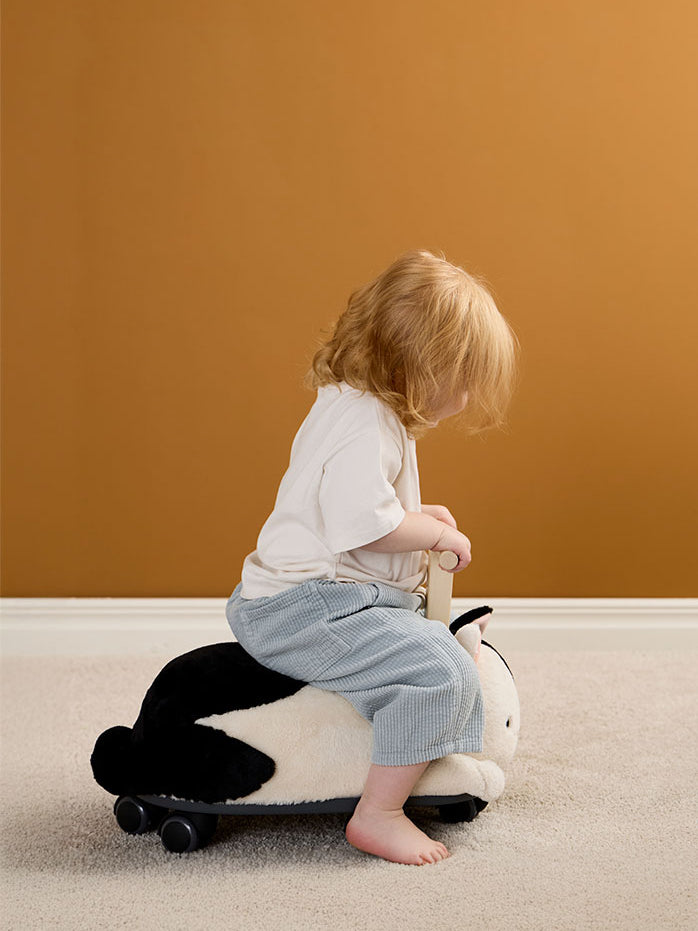 Sture The Cat Ride Along