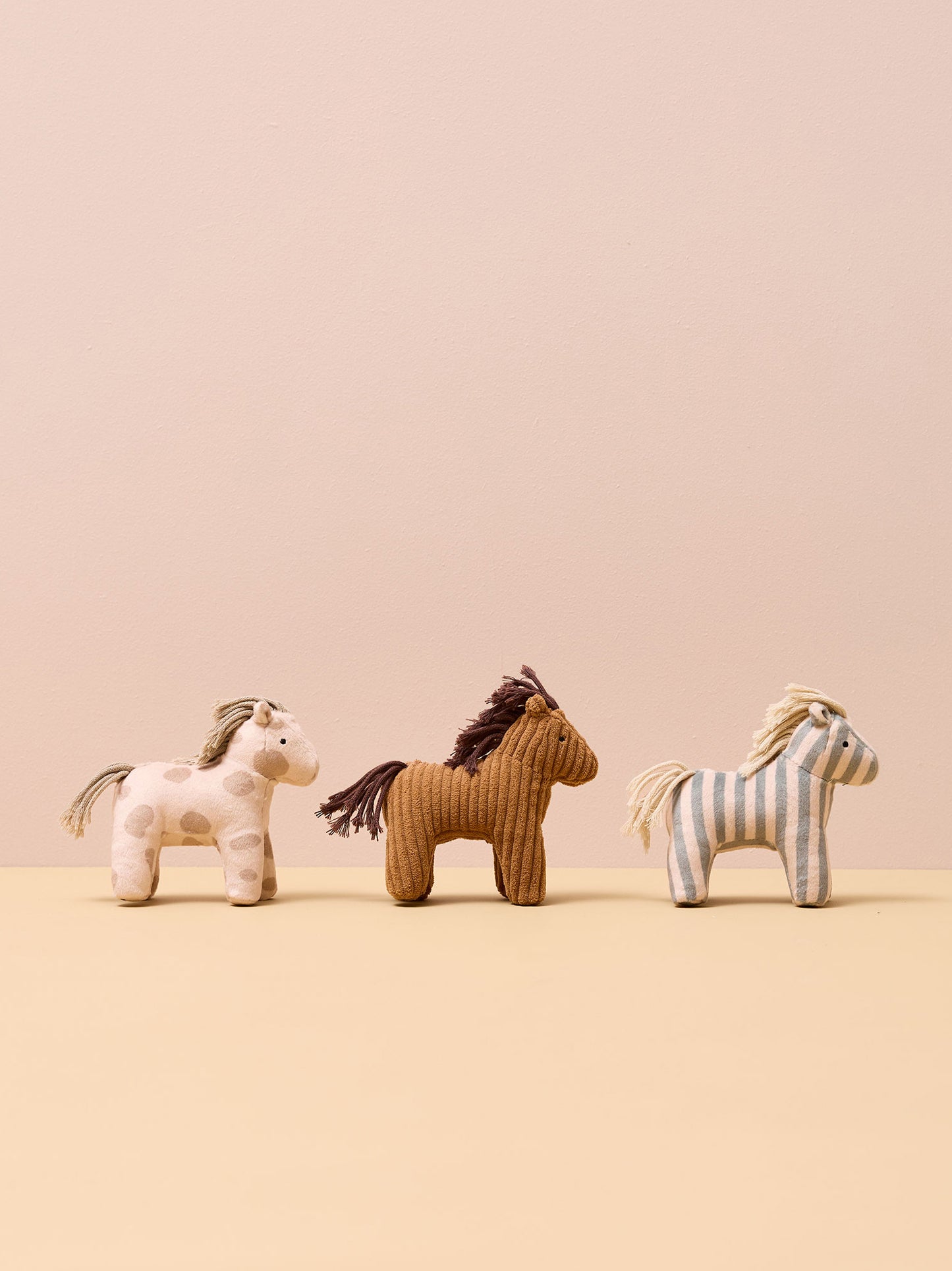 Stable & Horses