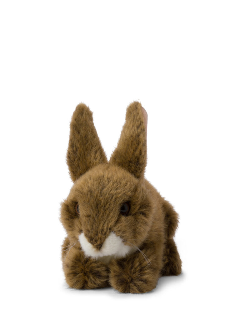 WWF Brown Hare