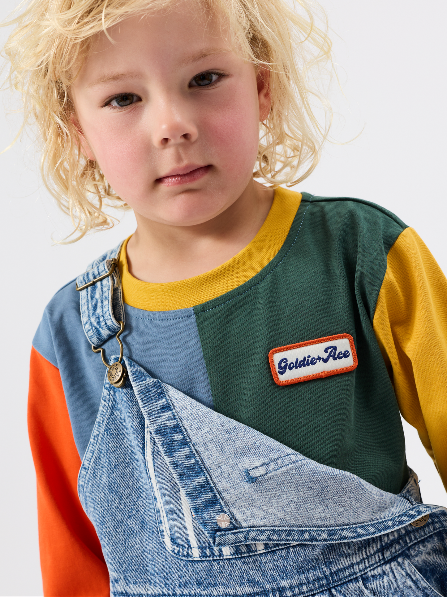 Austin Stripe Denim Panel Overalls