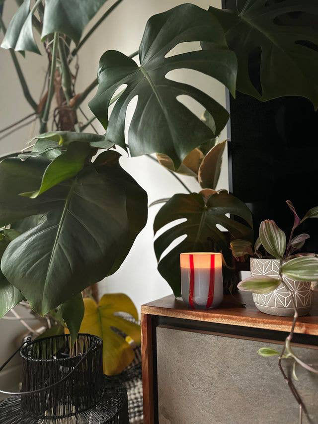 Atina Candle: Tomato & Mint Leaf