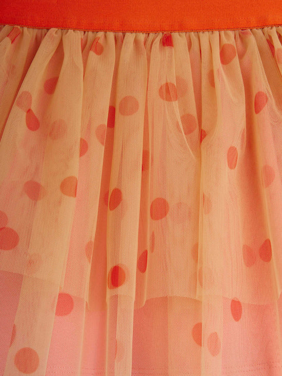 Dotted Tulle Skirt