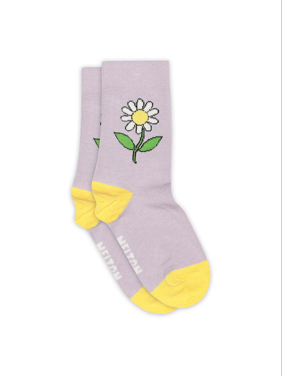 Cloud Lilac Daisy Socks
