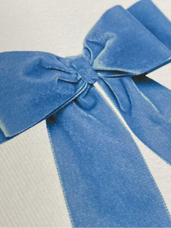 Baby Blue Velvet Bow Greeting Card