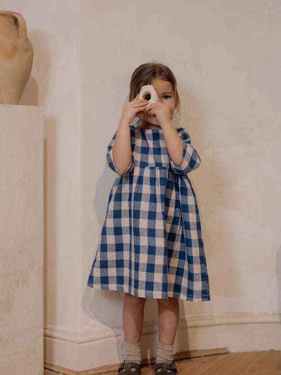 Pottery Blue Gingham Bella Dress