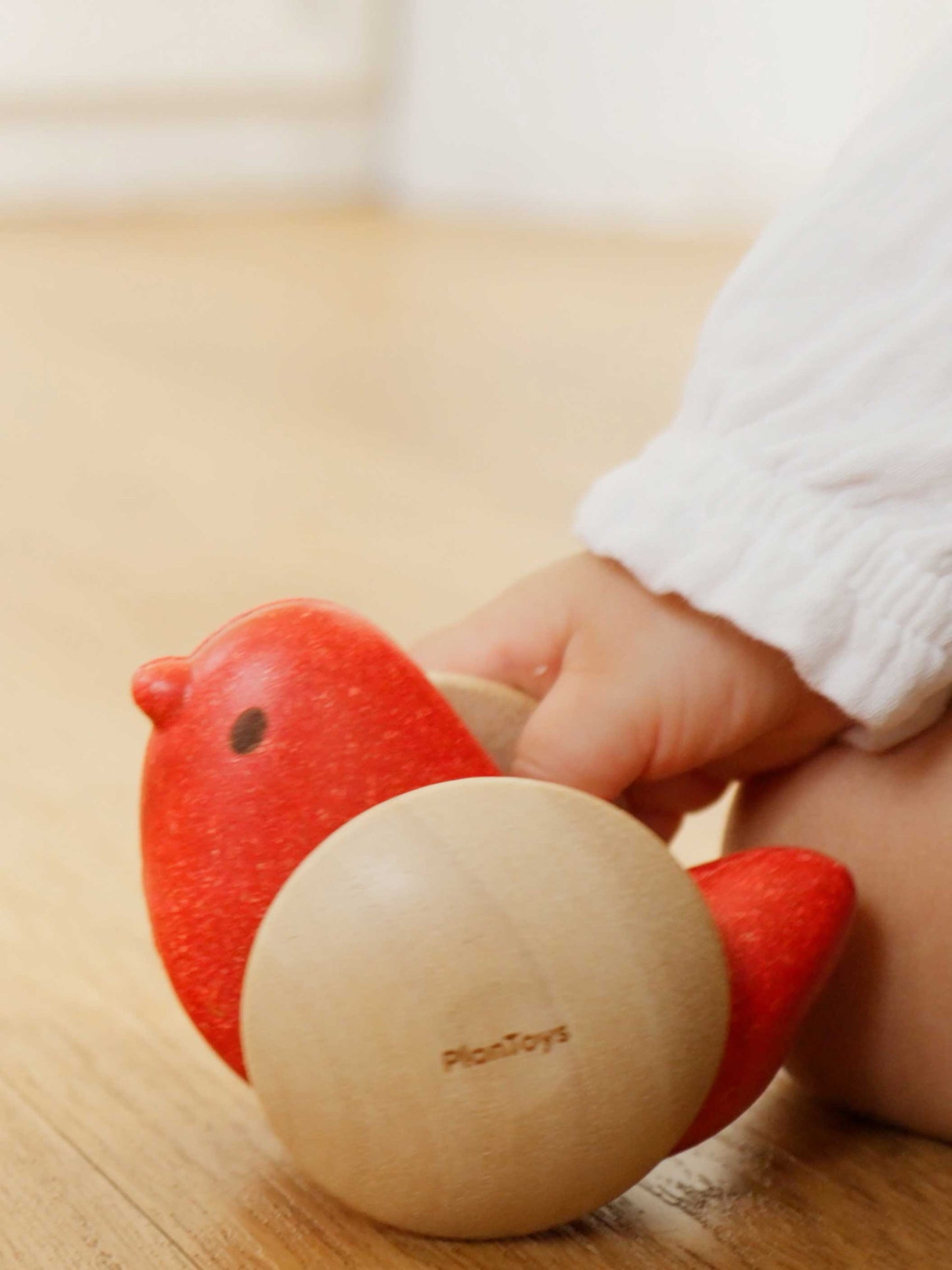 Wooden Bird Roller