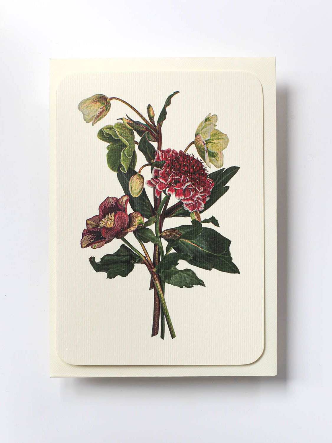 Posy of Hellebore & Scabiosa Greeting Card