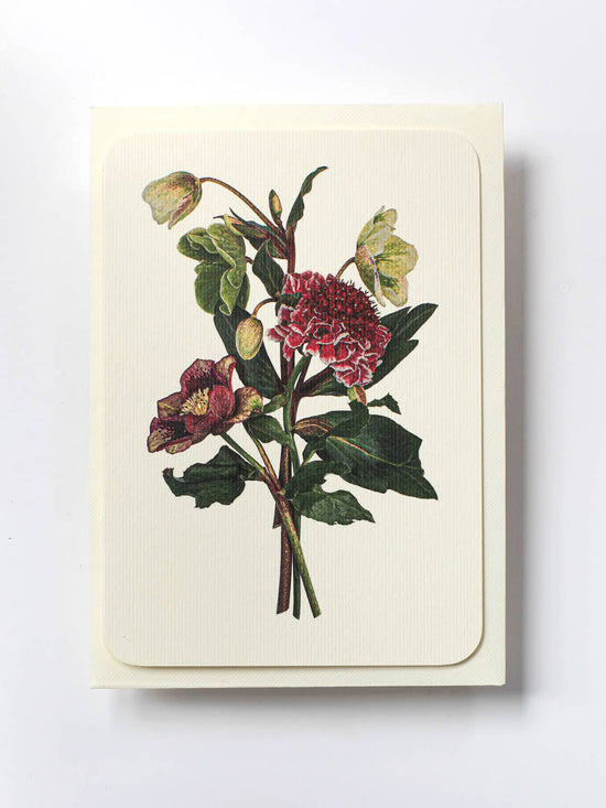 Posy of Hellebore & Scabiosa Greeting Card