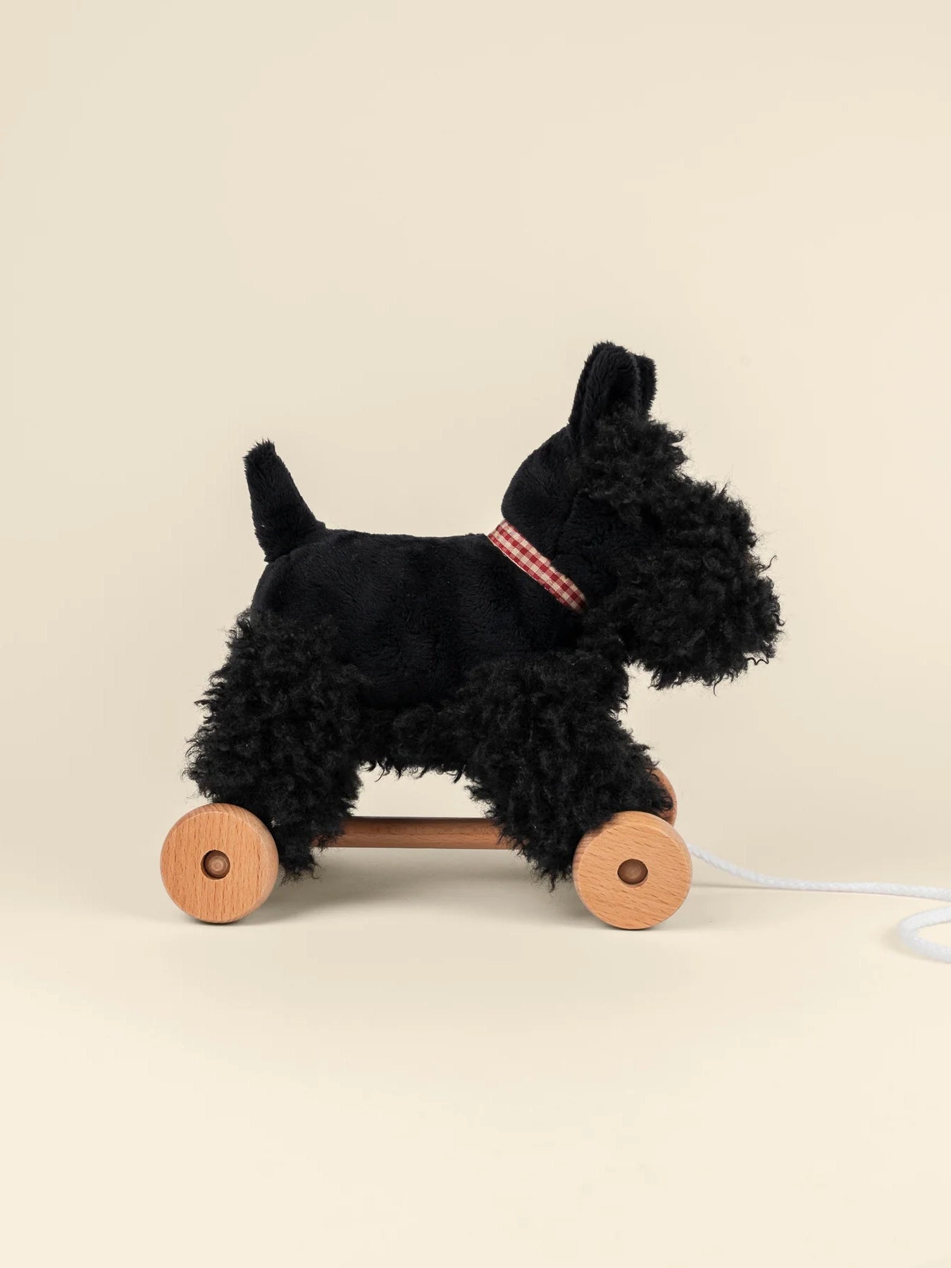Pull-Along Walter