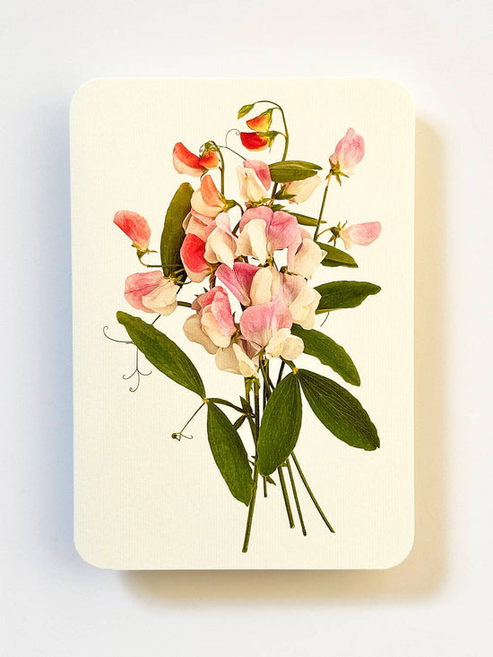 Pink Sweet Peas Greeting Card