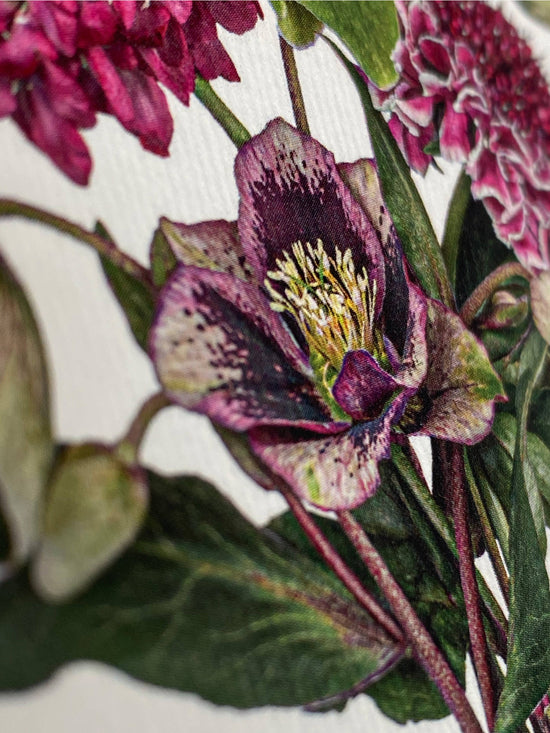 Posy of Hellebore & Scabiosa Greeting Card