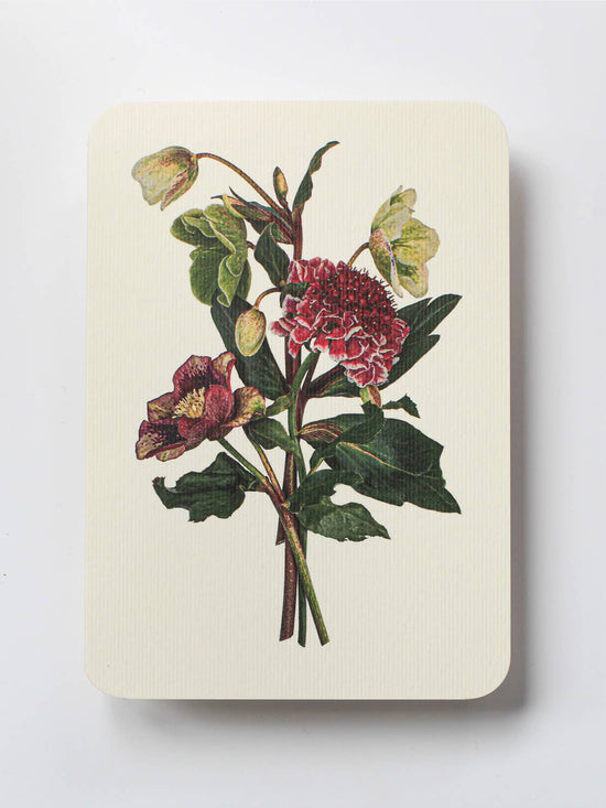 Posy of Hellebore & Scabiosa Greeting Card