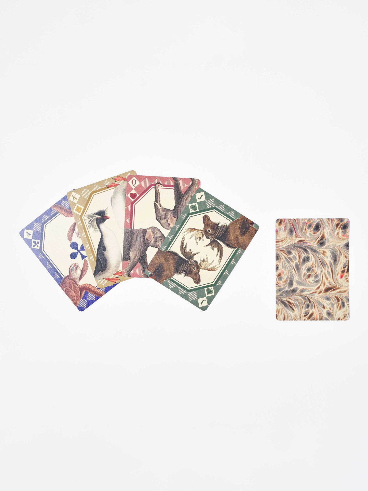 Animal Kingdom Playing Cards