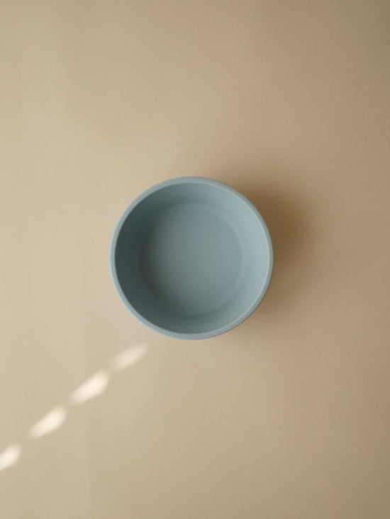 Powder Blue Silicone Bowl