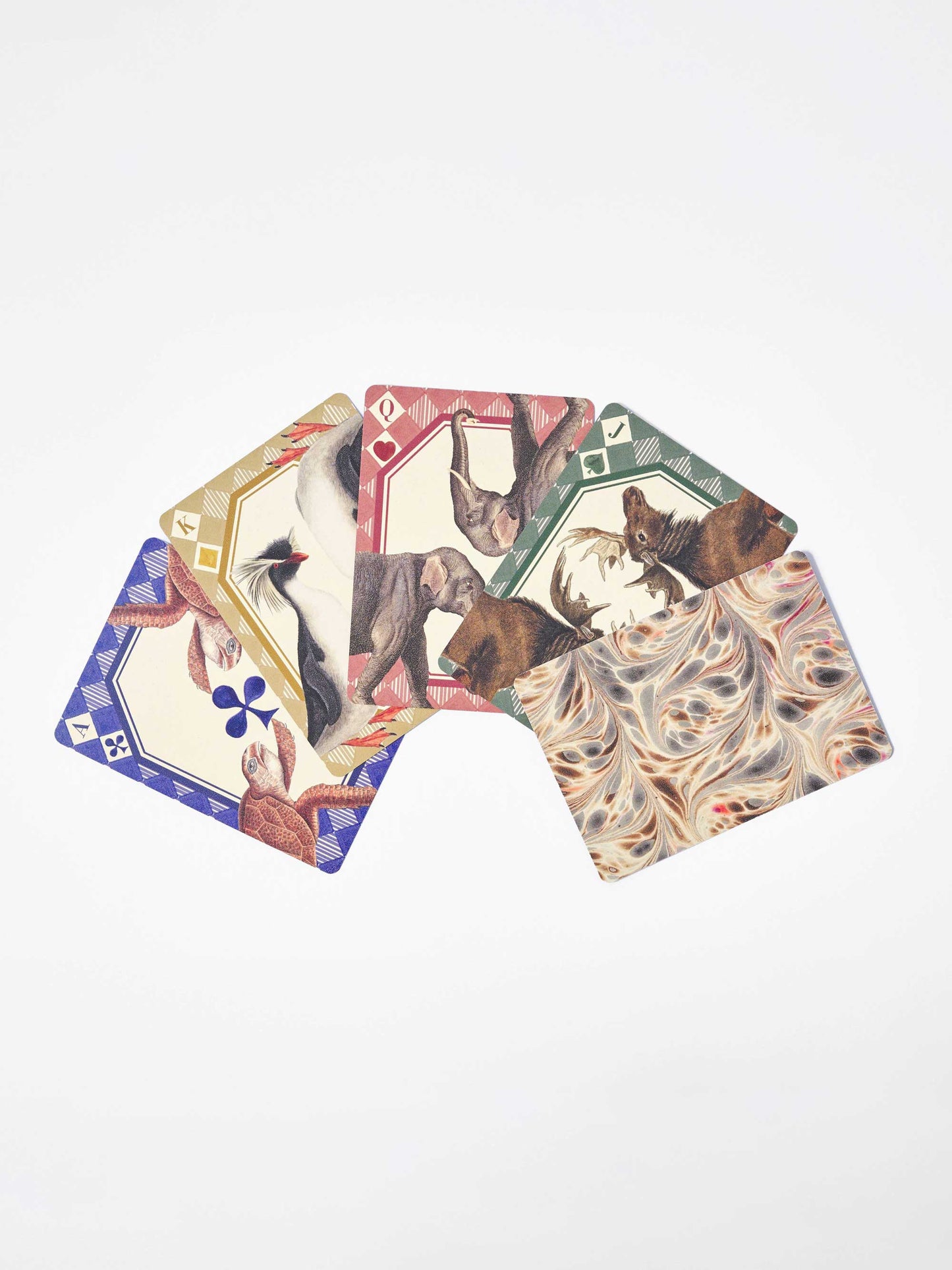 Animal Kingdom Playing Cards