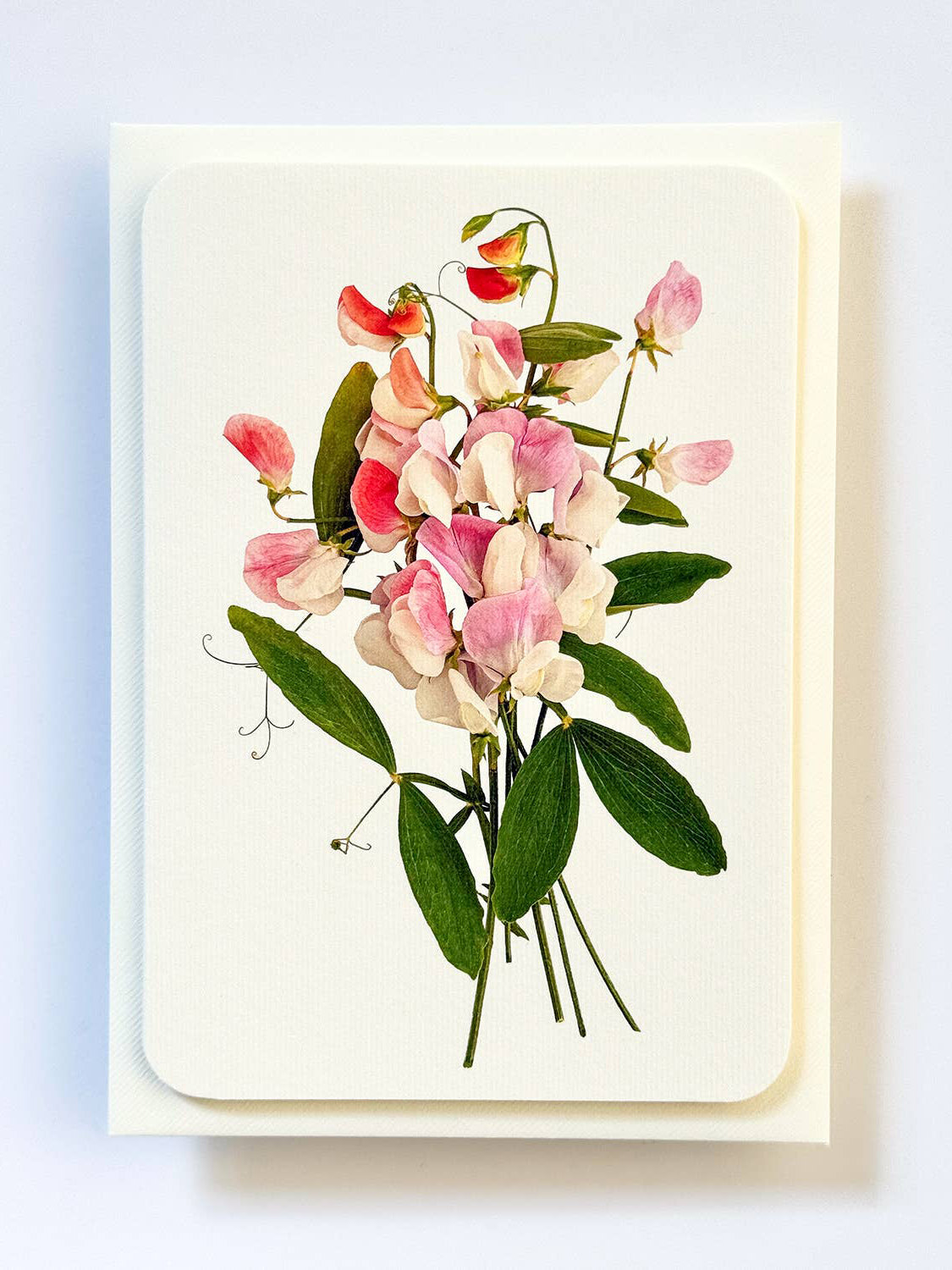 Pink Sweet Peas Greeting Card