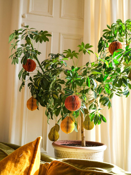 Lemon Honeycomb Ornament