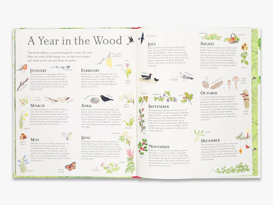 Mouse's Wood: A Year In Nature