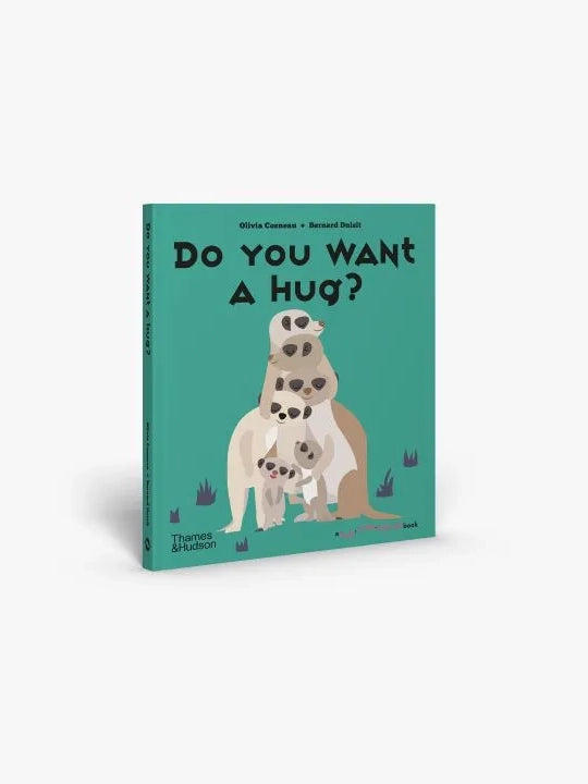 Do You Want A Hug? Pop-Up Book