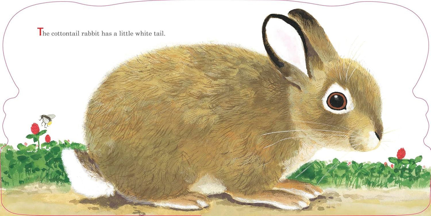 Richard Scarry's Bunnies