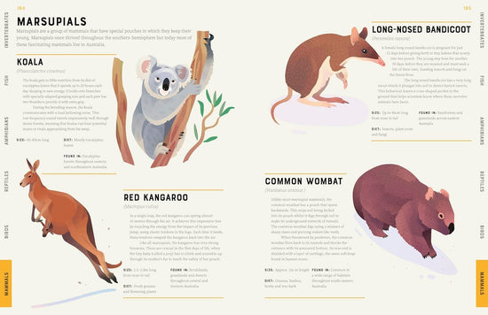 Encyclopedia of Animals