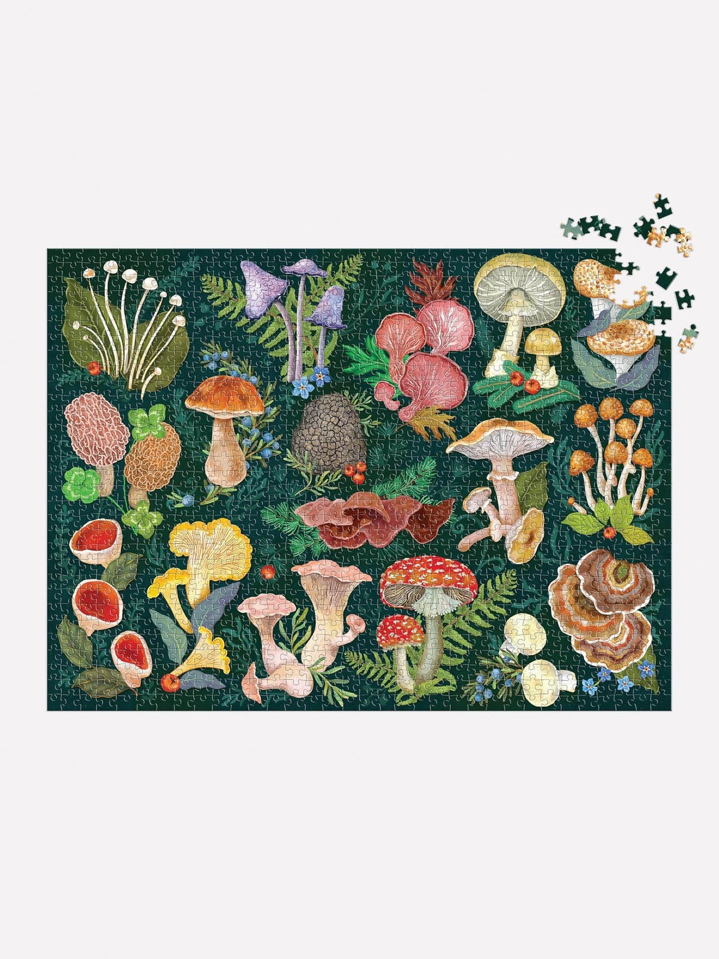 World of Mushrooms Jigsaw Puzzle