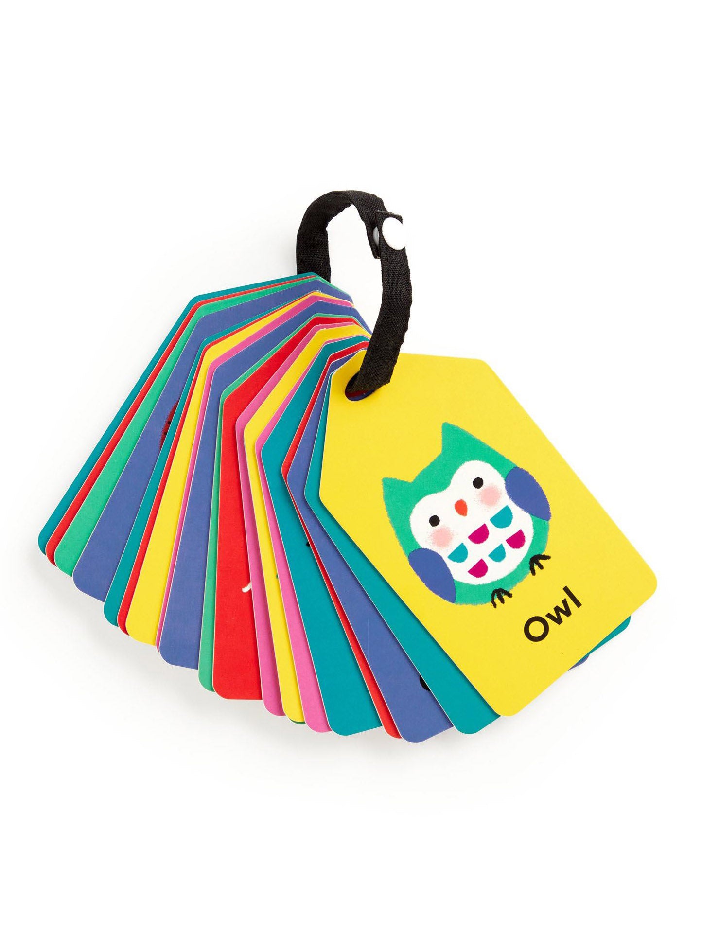 My First Animals Ring Flash Cards