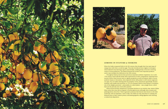 Load image into Gallery viewer, For The Love of Lemons
