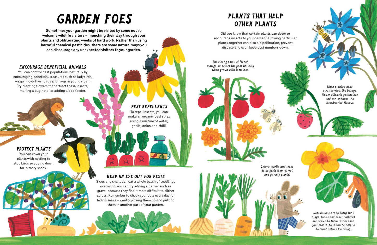 The Little Gardener's Handbook