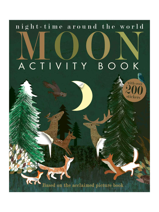 Moon: Night Time Around The World Activity