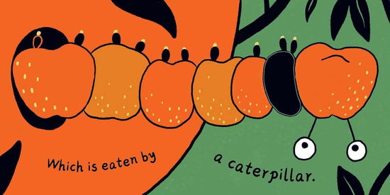 Seed In The Universe