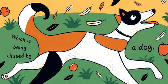 Seed In The Universe