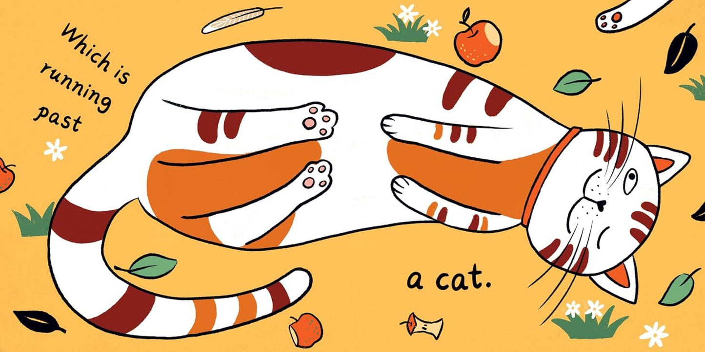 Seed In The Universe