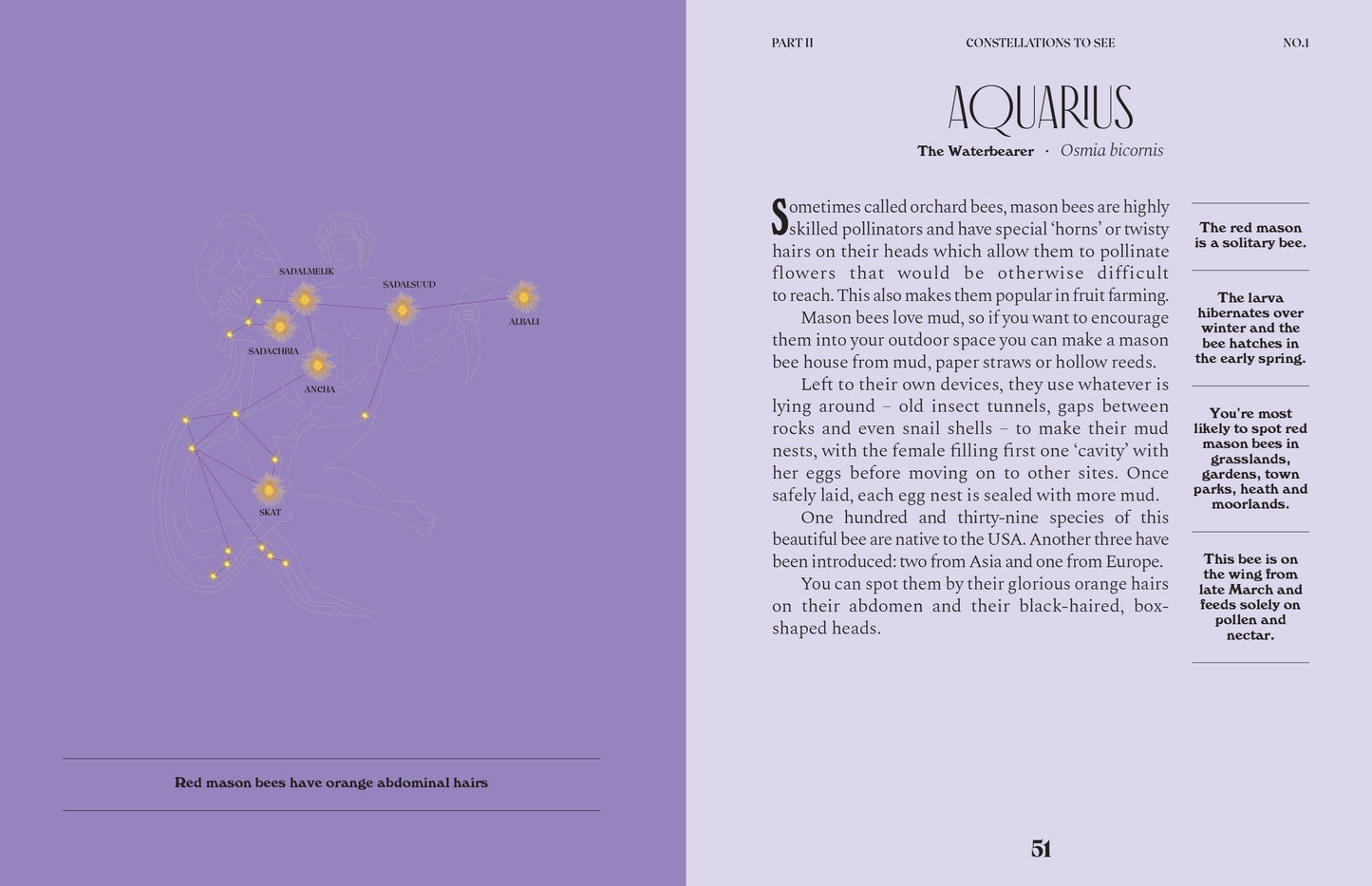 Constellations: A Guide For The Curious