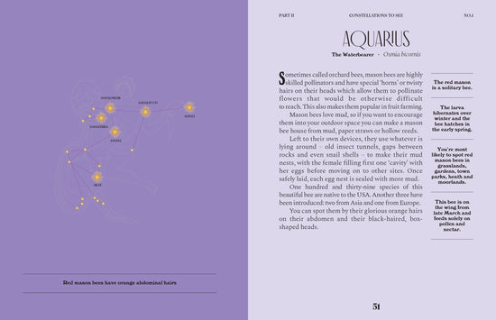 Constellations: A Guide For The Curious