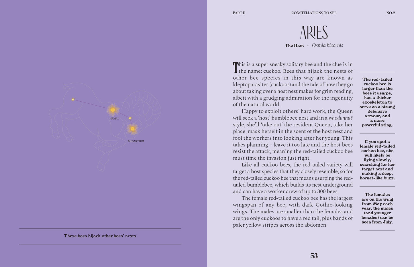 Constellations: A Guide For The Curious