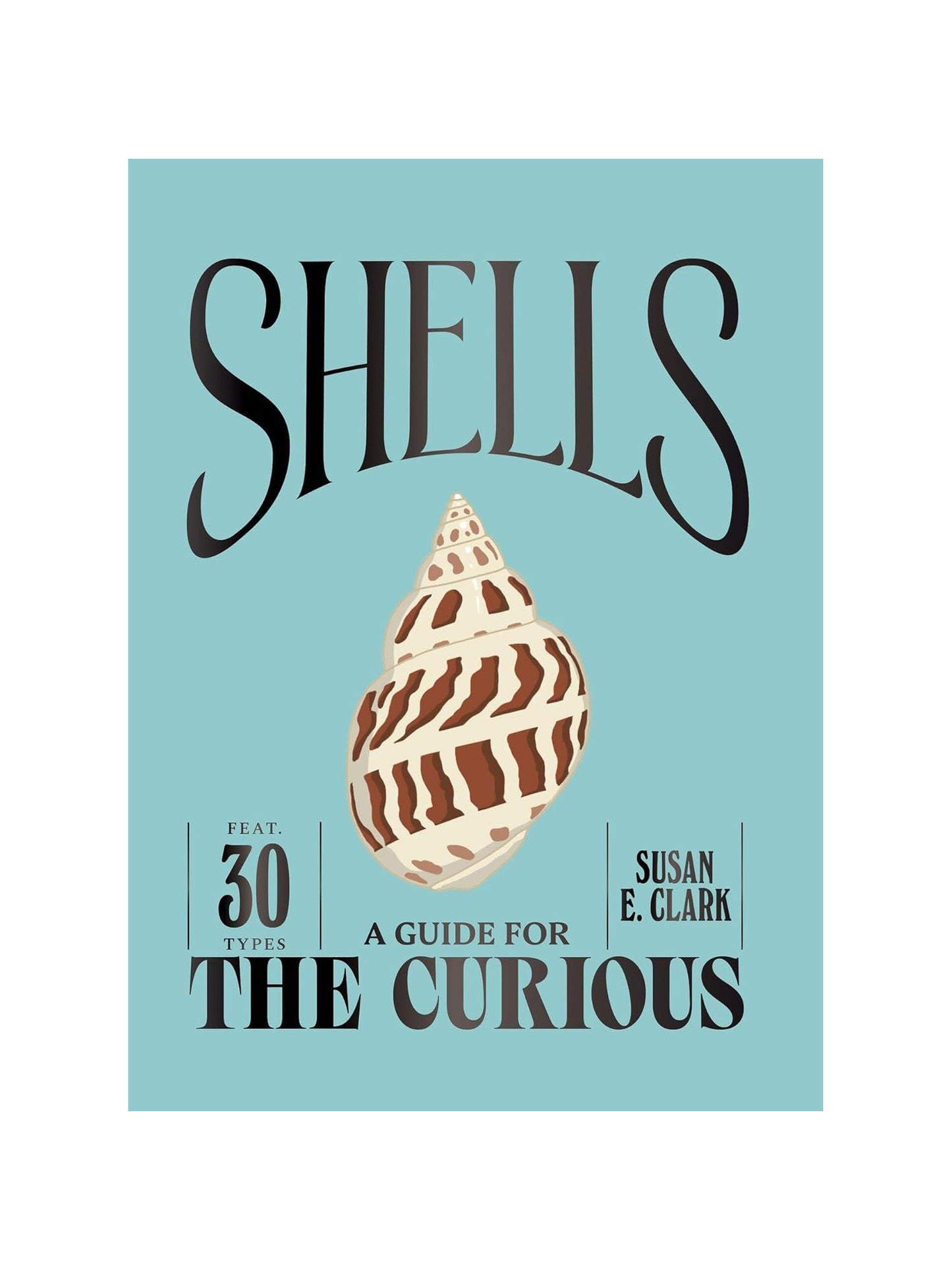 Shells: A Guide For The Curious