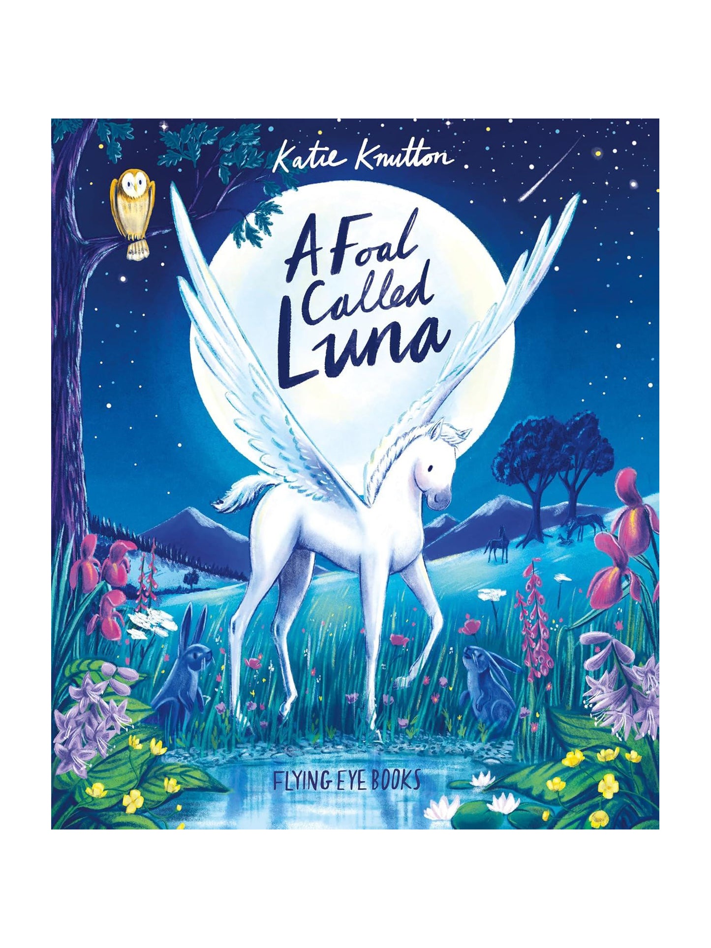 A Foal Called Luna