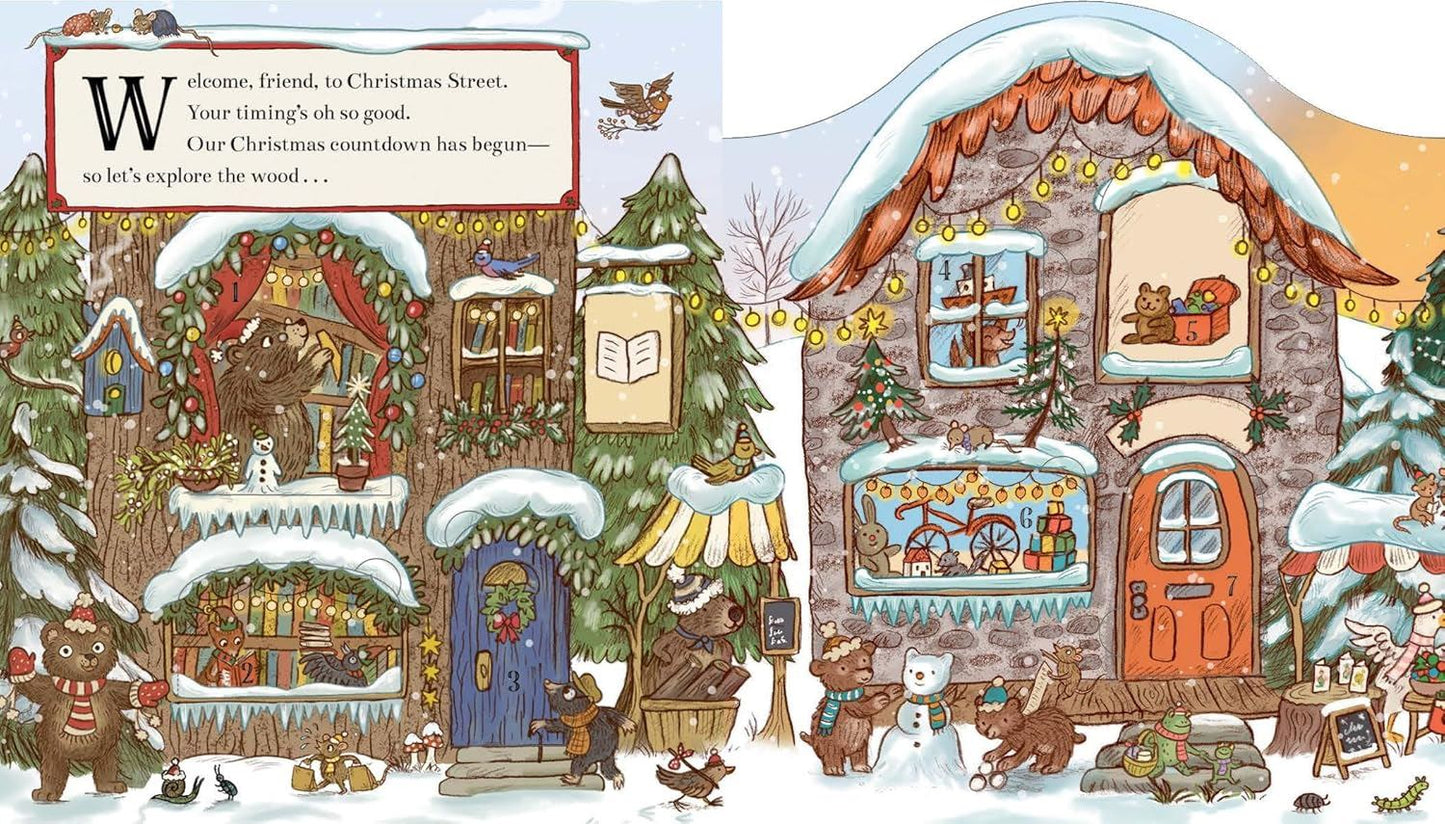 Brown Bear Wood: Christmas Advent Calendar Book