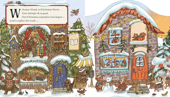 Brown Bear Wood: Christmas Advent Calendar Book