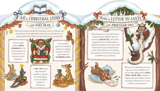 Brown Bear Wood: Christmas Advent Calendar Book