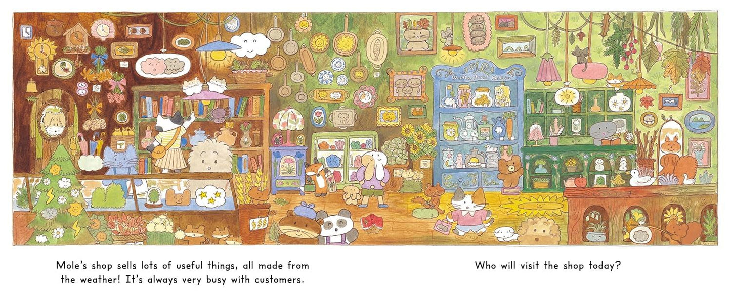 The Weather Shop