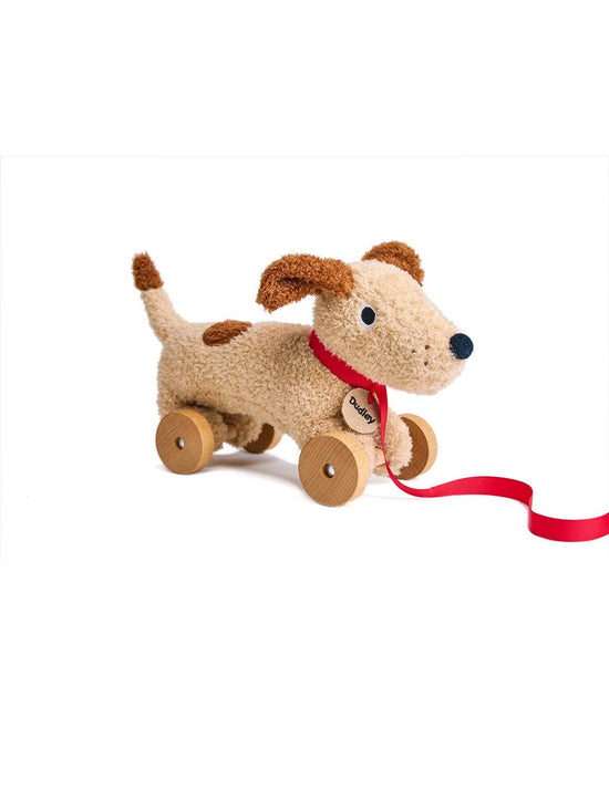 Dudley Pull Along Dog