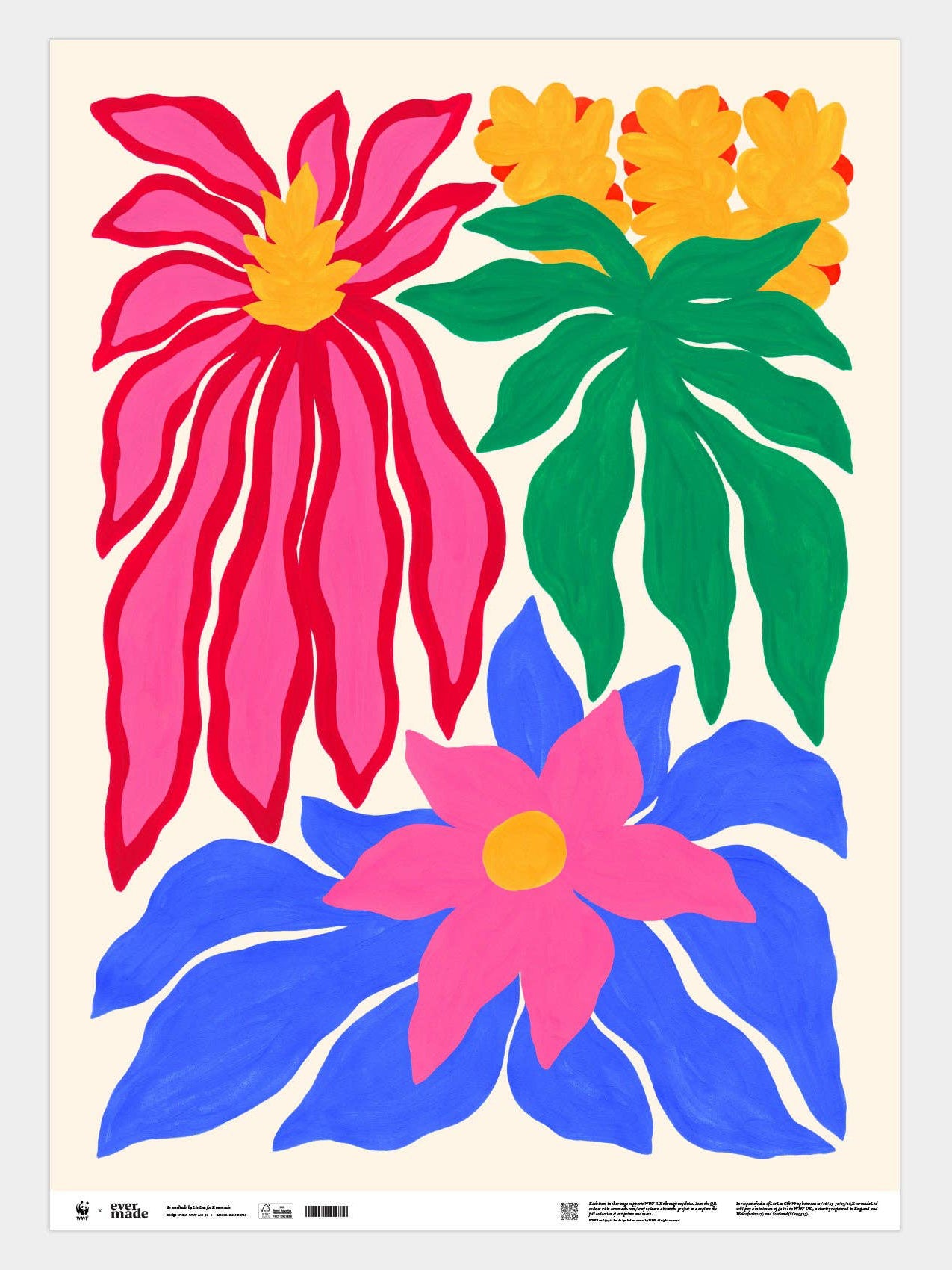 Bromeliads Gift Wrap