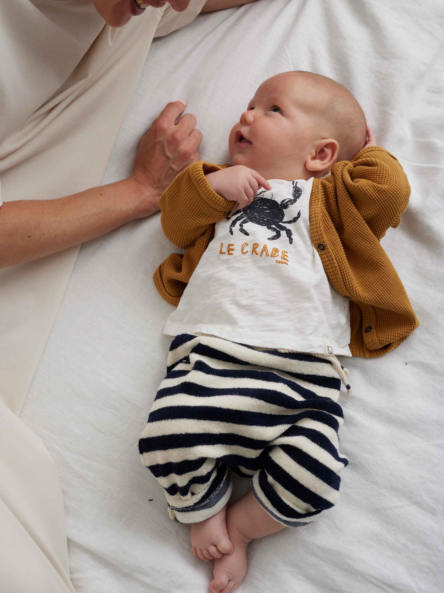 Navy Towelling Stripes Baby Pants