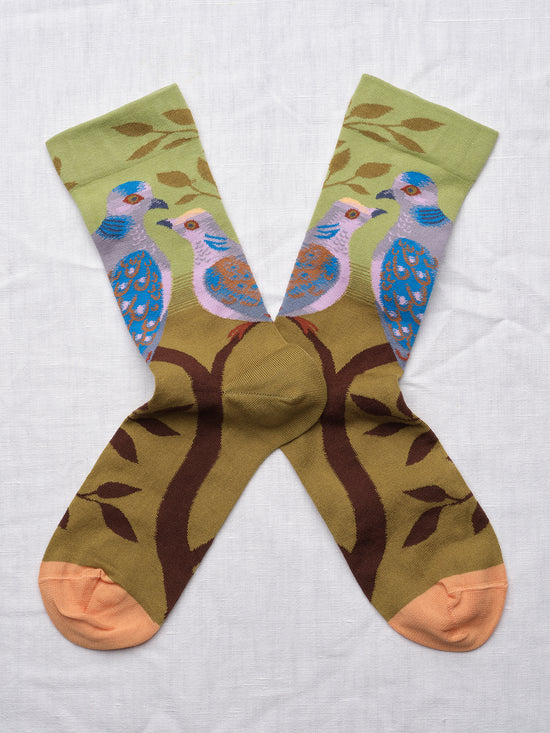 Paris Birds Socks